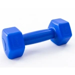 Gantera de 1 kg, echipament sportiv pentru antrenament și fitness, în magazinul Sport Equipment Shop
