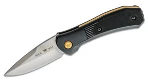0591BKS-B 12864 BUCK PARADIGM SHIFT