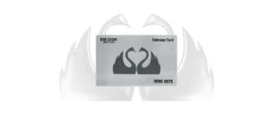 2C 2019  FOX DUE CIGNI SABRAGE CARD STAINLESS STEEL 420